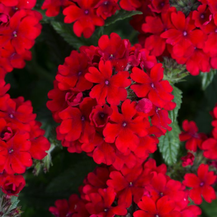 a79ba2c5-5b20-417e-850f-a11f2c4d0549