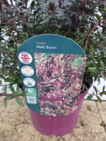 7b2d4e39-4d26-4c90-b35e-446e78d57fcf