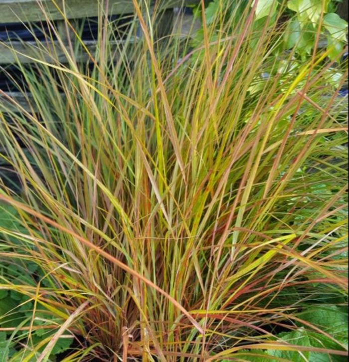 f7b0ef5e-307a-4461-96da-46747e39ed9b