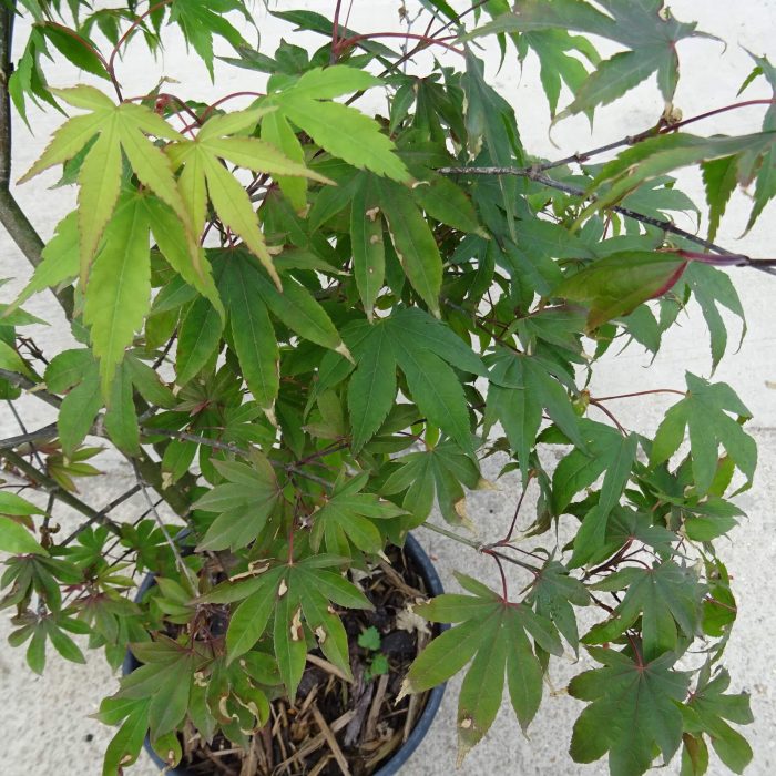 4d1fb158-55e8-41ad-b31e-141a044cedf5