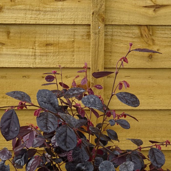 5a5f86b6-65be-427a-86c0-b70b3474b95d