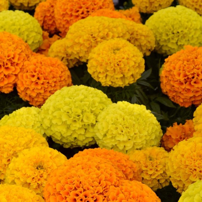 ab3f2e05125c6e0e854554ceacc038e5.jpg 04b8838c-6c28-4ff4-b829-d3598007deff