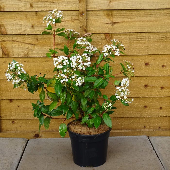 864a4b34-ce0d-4b1e-9066-4685756dc49b