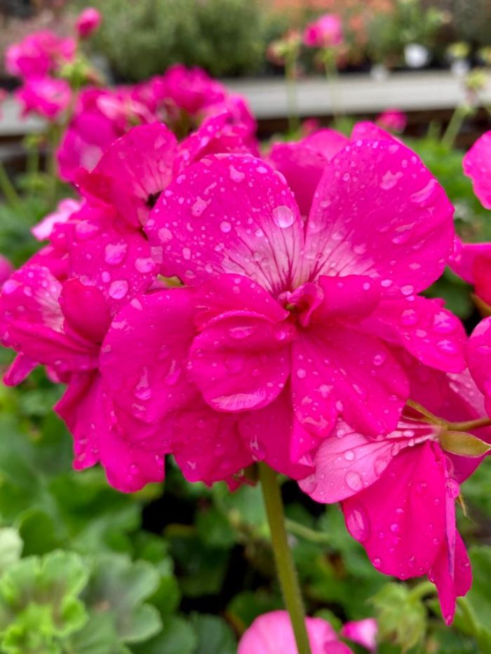 cc2e6328-87ae-451c-8f0b-2adefff742cd