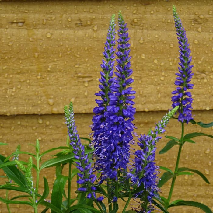 4a8ee23f-c6f0-426a-a4d2-4a7c96b32503