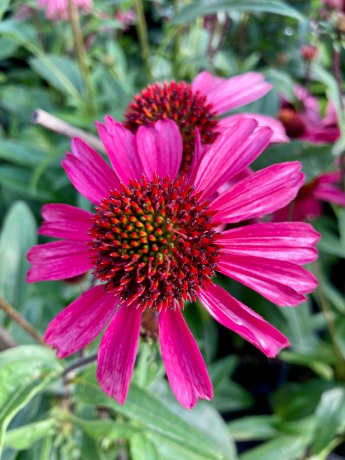 ac564f32160673821ad1532ac3bf7fd8.jpg dadf1fec-7286-47e9-a8ae-51aa6c59321c