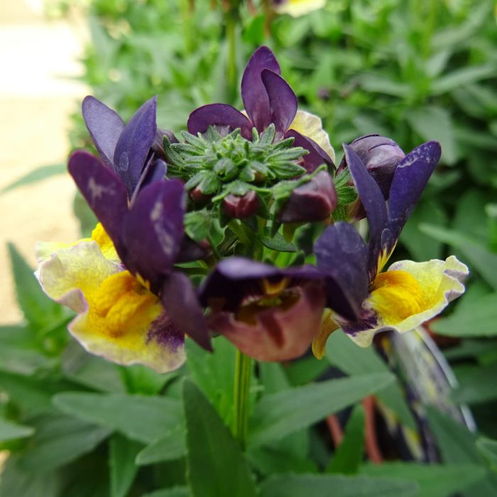 2eef831f-f8c9-4352-83fd-638ed80375de