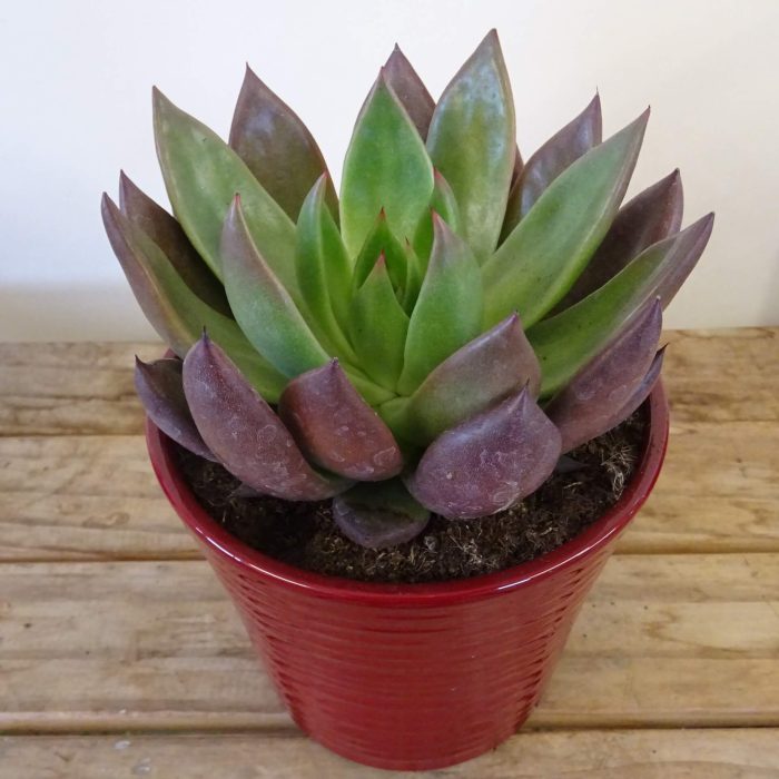 885e7bd7-2be4-4a38-b74c-67a122ede969