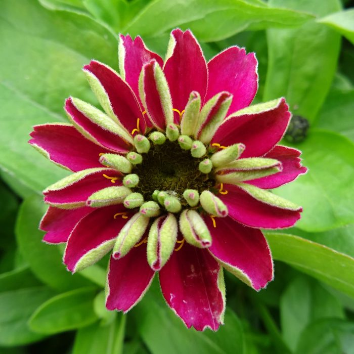 9425b871-0eea-43a0-87de-ac7b3497d42d