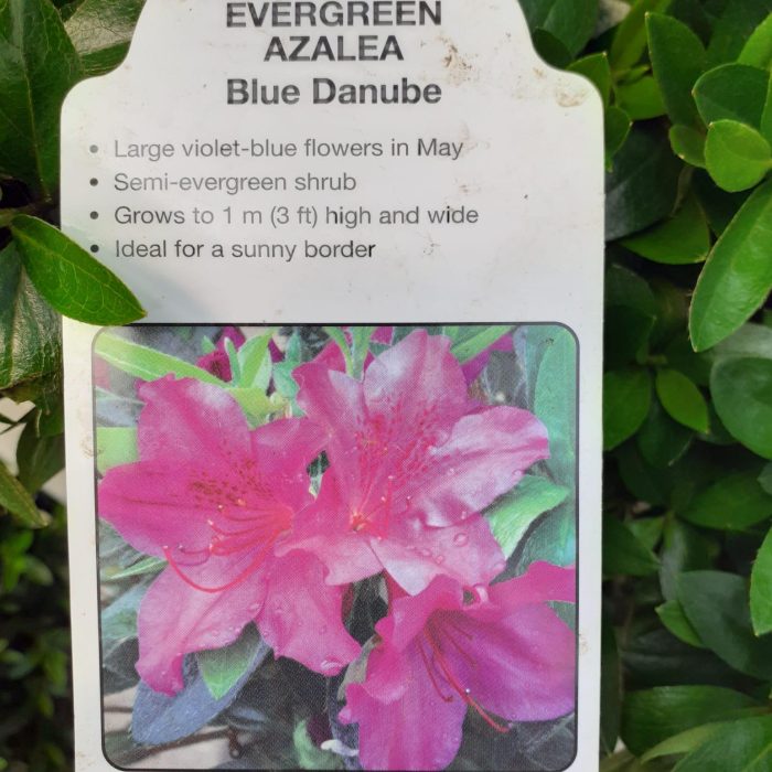 c6eb14d6-c7b6-4883-b851-d9259976f9ce