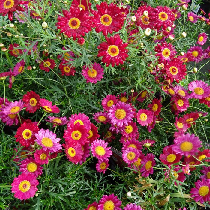 accdbc99299aa6ac6f9c8d0b21d3999c.jpg 256d8d55-1cb7-429b-a2bc-599b4e7712a1