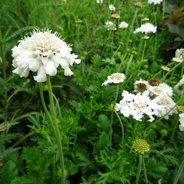 5a6d2f4d-f258-427b-bac5-8053e0638e0f