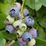 1a57826c-b4d4-4512-a9d4-4c65da2f7bc5