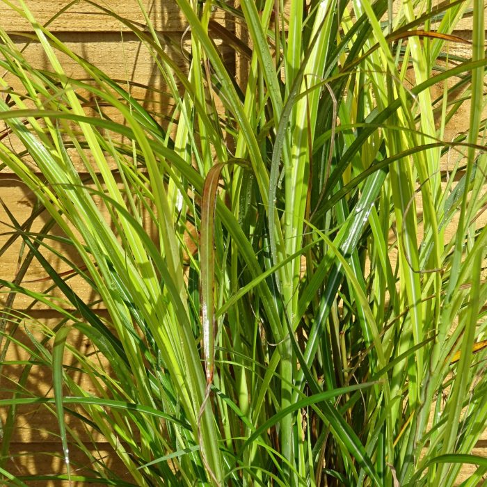 6a262248-639b-4686-b034-608b37522b27