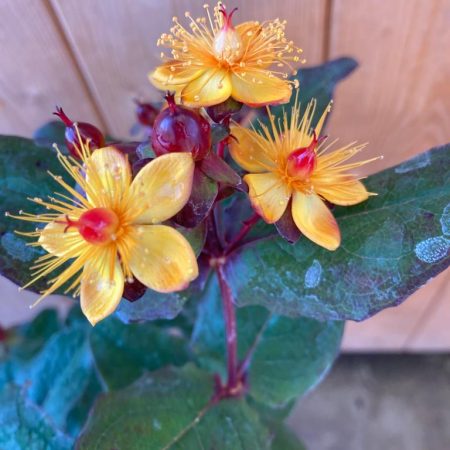 6b9e9ba7-ae1d-401a-857c-72366d184a70