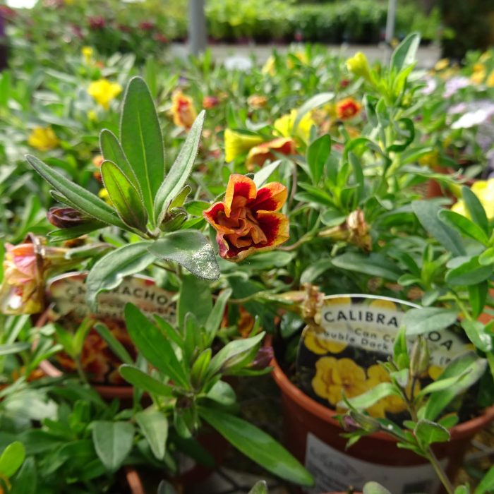 f9379e95-5d36-44df-aae2-22d0db59a075