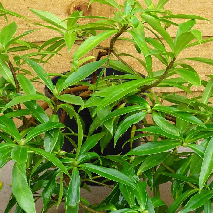 adc2bb081c2d4c431146535a09fb4dd0.jpg 1f2e9707-6e21-445e-9154-b1ef8cbd6412