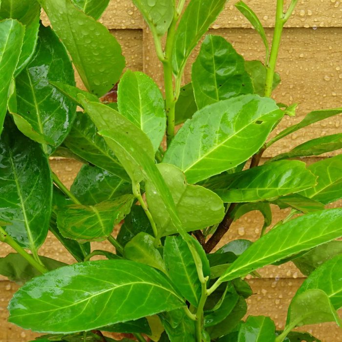 257e48dd-04db-44a8-acc8-e8cde2aca73e