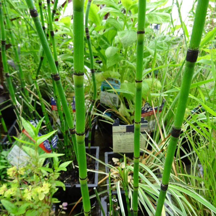 6b418597-412b-4036-8b4e-229f94c54492