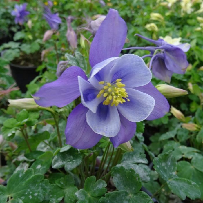 c3f6123e-d479-4b2d-9da4-6364f21fdcbf