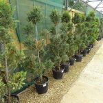 7540df52-72e5-45e3-90f2-1b9a8bacdff6