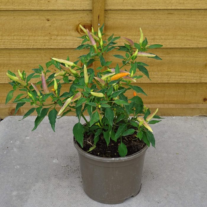 9854f4ae-3d5a-4085-bf03-06cd77adeccb