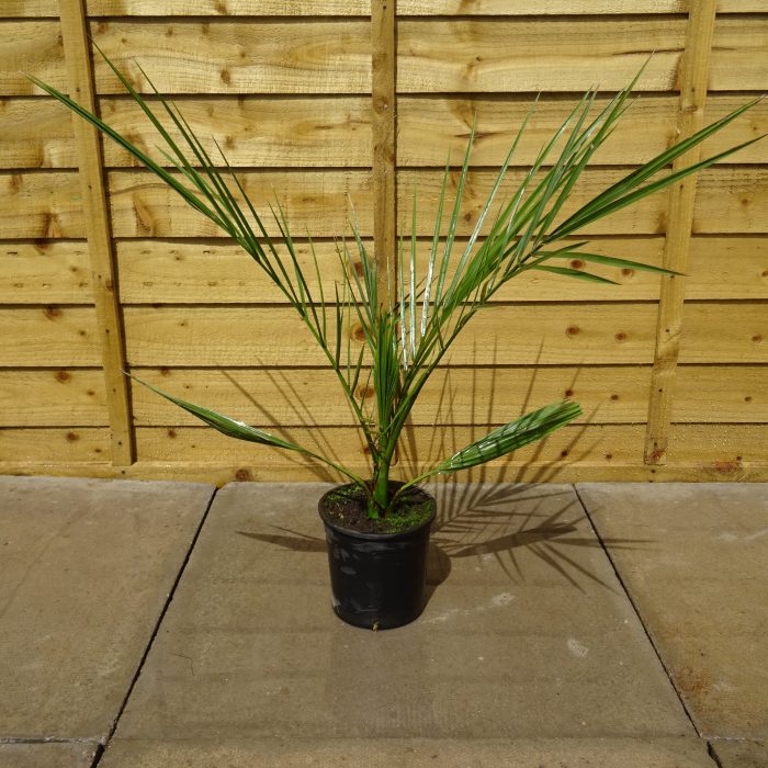 82c548a3-aca4-452f-89ce-8f60f1e6e184