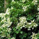 f6026e06-0925-4564-a6e3-520715d1f514