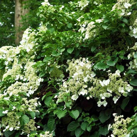 f6026e06-0925-4564-a6e3-520715d1f514