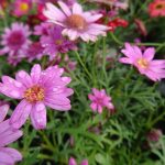 8f931216-1cf8-4ba5-bb7e-ace9804d9d66