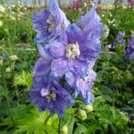 5f2a2564-1f6b-4c2d-bfd3-240add2452ac