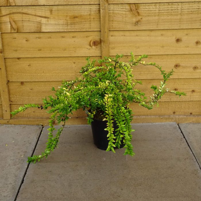 9bc6ab5f-a9d2-477f-9075-f615c07979c5