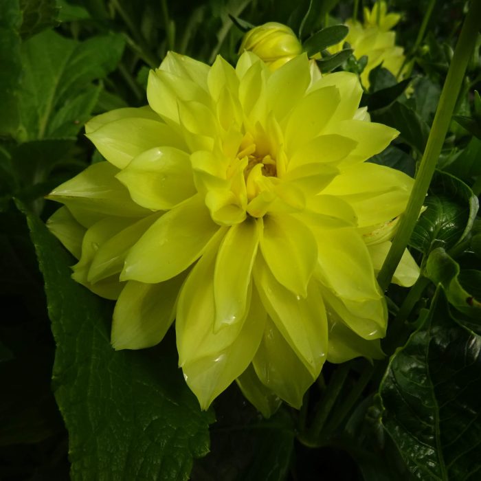 afee15b87f77bad5c8f91635deb8ef3f.jpg 3b2bd721-8f30-47a3-999b-d9679d8aecf8