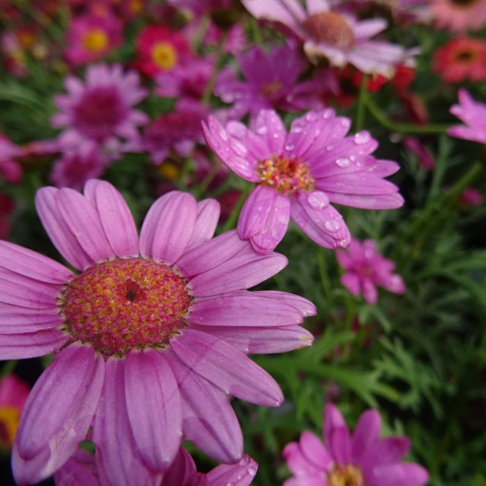 72f365a1-be77-46e6-aaa8-614b6226ed88