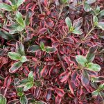 65e5b39a-aadc-4cea-aa11-d3818c13375f