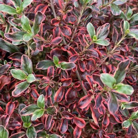 65e5b39a-aadc-4cea-aa11-d3818c13375f