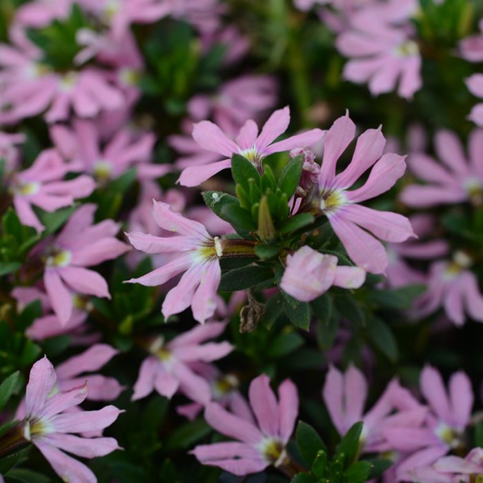 b130265f713bafba3d2b37edceeba41e.jpg 0c224740-1aa8-4058-9f2c-7e5fc85c571a