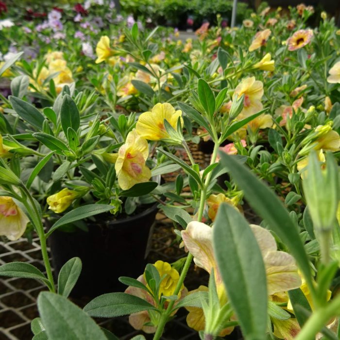 bf830daa-9fce-480e-a878-51731919c5d8