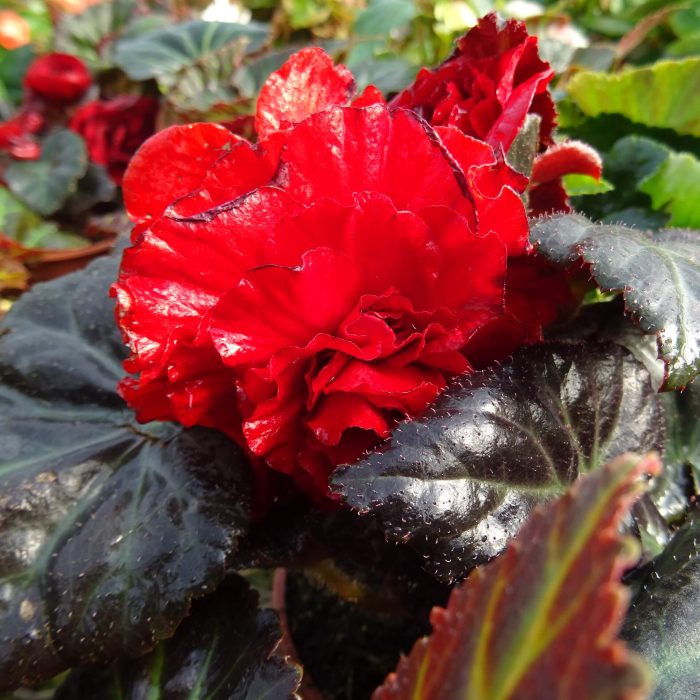 65b46fd6-390e-427a-bada-f990b1702535