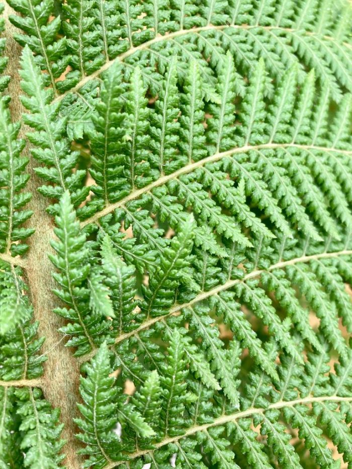 b1b90c08178c6b0b7b0a69392deacd1a.jpg a39a409d-66d7-49ad-a284-621ec02dc5c8