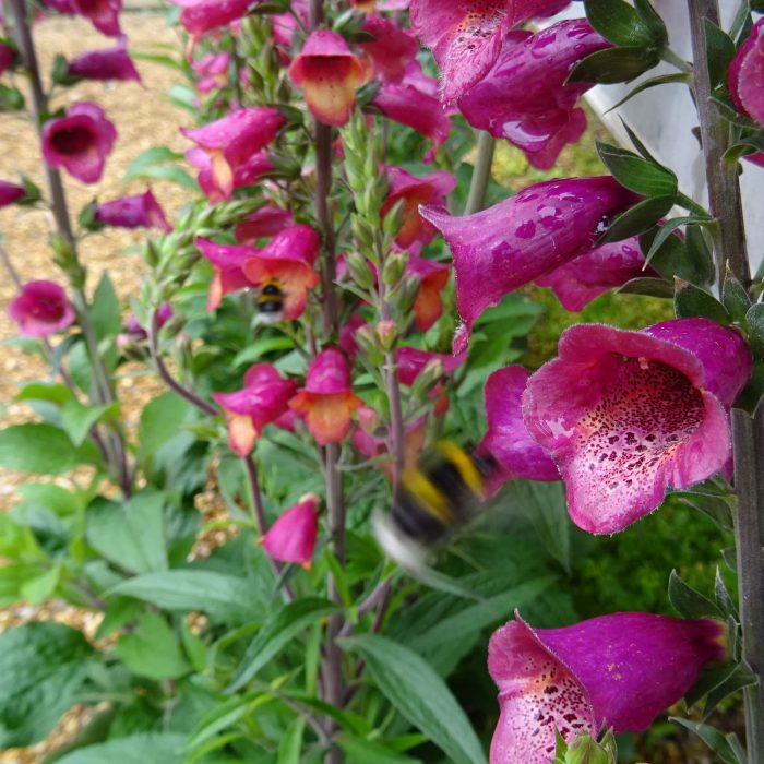 19da2af3-8bf2-4a1c-9af0-b85e186736b9