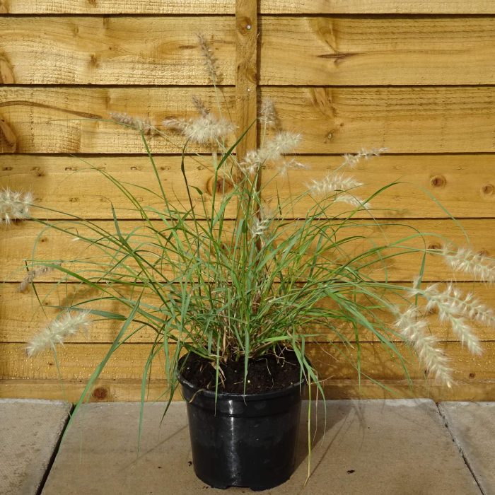 a20fca9b-f8a1-494e-9c53-f4fa815f4167