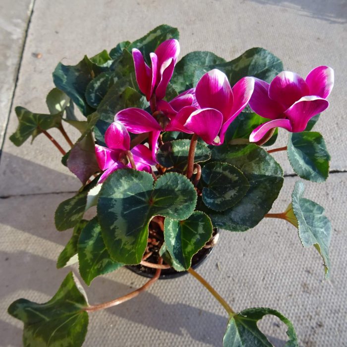 d2be36a0-9355-4bde-88e8-d4ed654bd26a