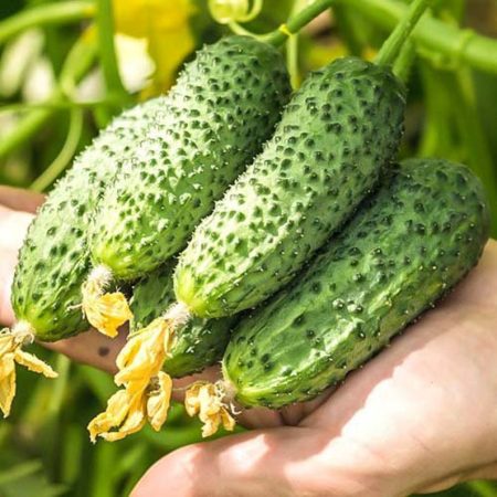 96b36f8d-9a68-43cd-b3e6-fc94ea10be02