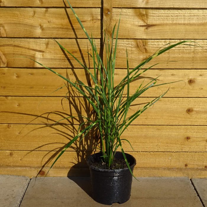 47aa004e-e19a-4b0b-9b64-1068ae57ba1f