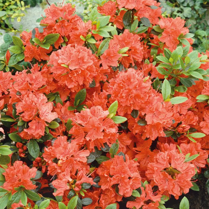 3d153649-cd60-4278-9553-de79ea90e7af