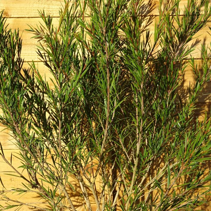 c0d41655-74ba-4dc0-a0fe-3d6a3583ca2d