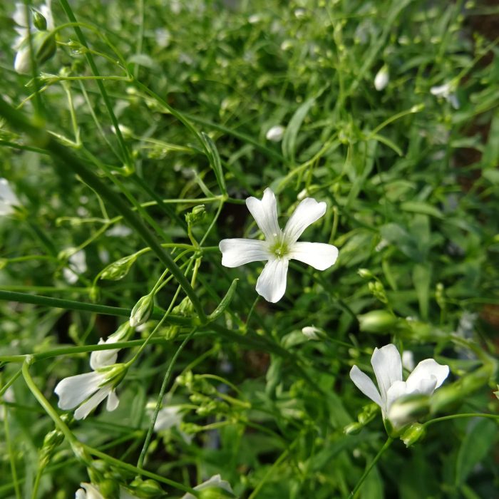 b38402125505c0654ce7440446b9e245.jpg 0c8e257c-da9f-47ae-a5a9-a554dadc0e0b