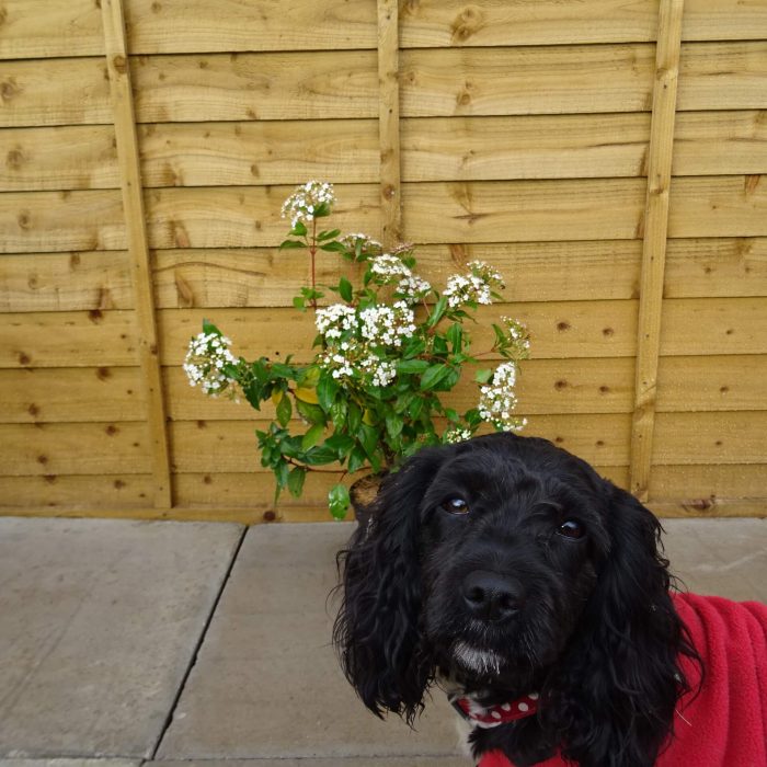 b42dec3b80063c0ed5c20880596d4564.jpg 29a8bfc8-3c20-456c-b757-750d7e3f2af3