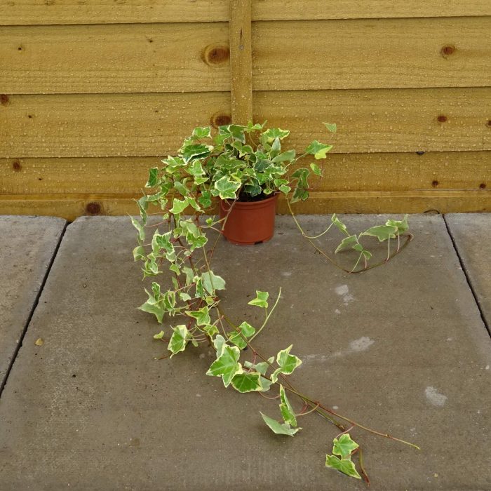 ac83dcf0-7632-4e4a-abe3-1403ab8a98c6